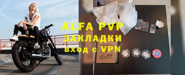 стаф Белоозёрский