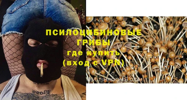 PSILOCYBIN Белокуриха