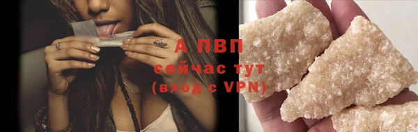 PSILOCYBIN Белокуриха