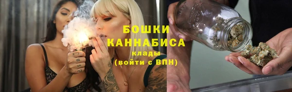 PSILOCYBIN Белокуриха