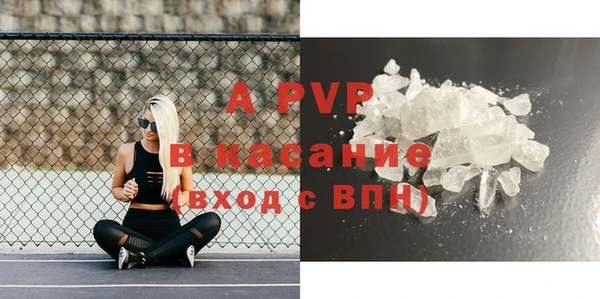 PSILOCYBIN Белокуриха