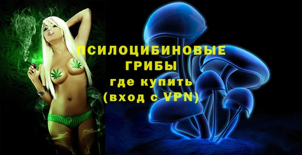 стаф Белоозёрский