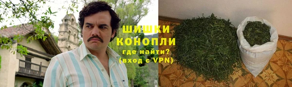 PSILOCYBIN Белокуриха