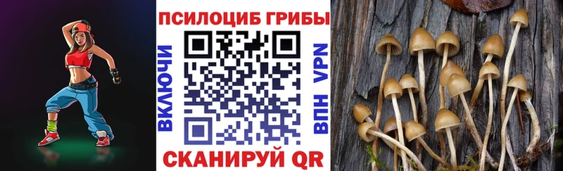 купить наркоту  omg ссылки  Галлюциногенные грибы MAGIC MUSHROOMS  Павловск 